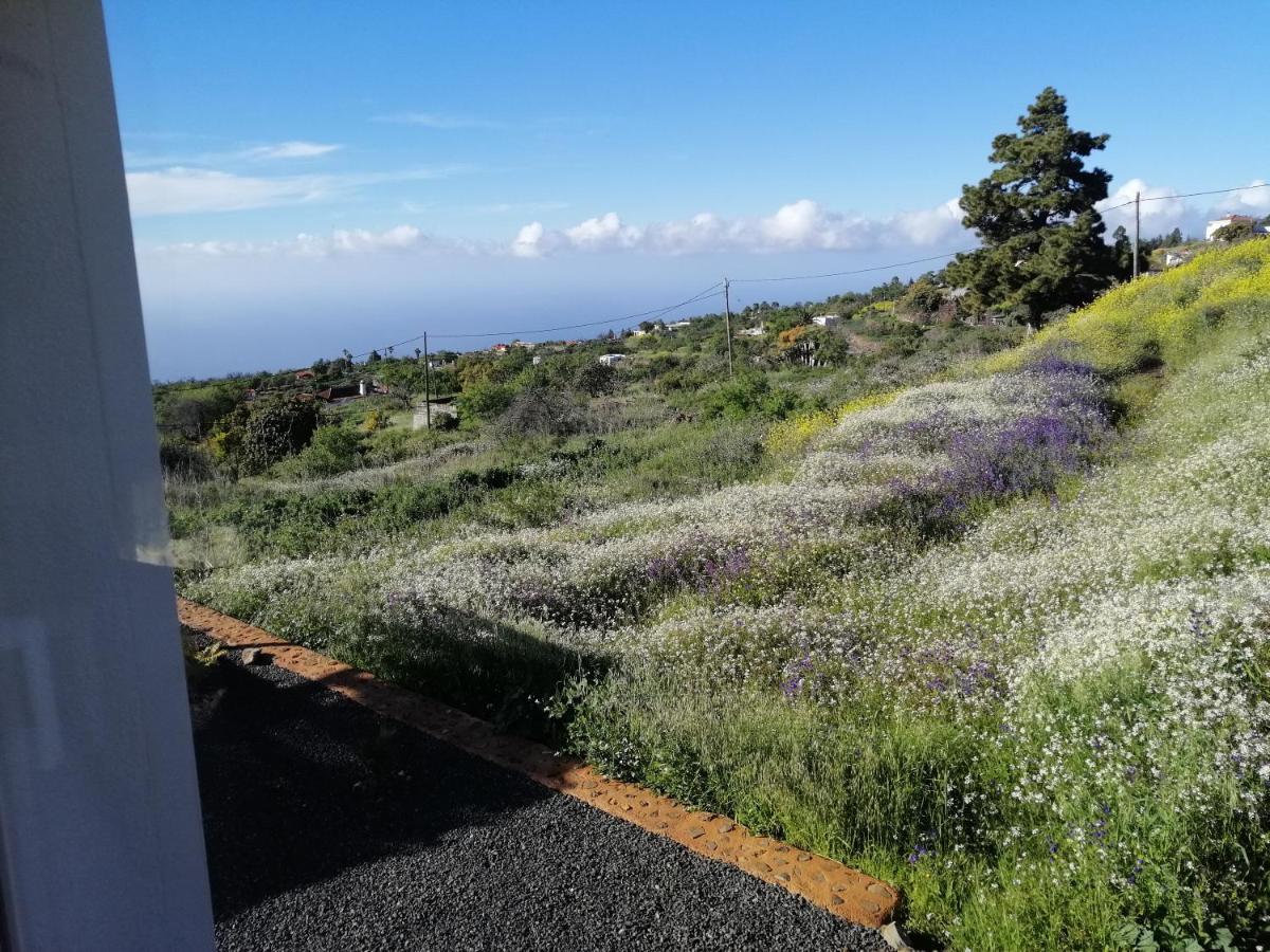 Alma Βίλα Garafía Εξωτερικό φωτογραφία