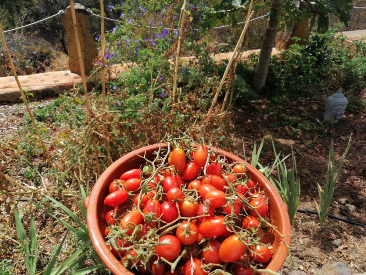 Alma Βίλα Garafía Εξωτερικό φωτογραφία